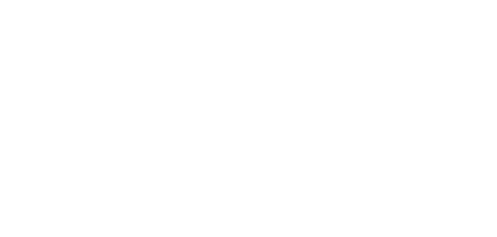 BPK-Customs-Novicik-Design.png