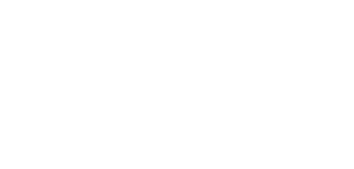 BPK-Customs-Novicik-Design.png