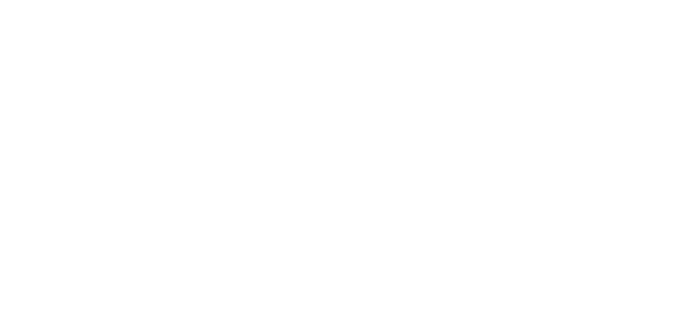 TRIUM-Novicik-Design.png